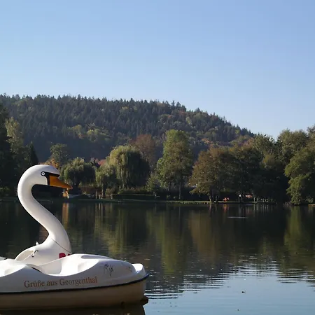 Traum-ferienwohnungen Georgenthal Georgenthal (Thuringia)