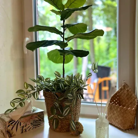Traumferienwohnungen Apartmán