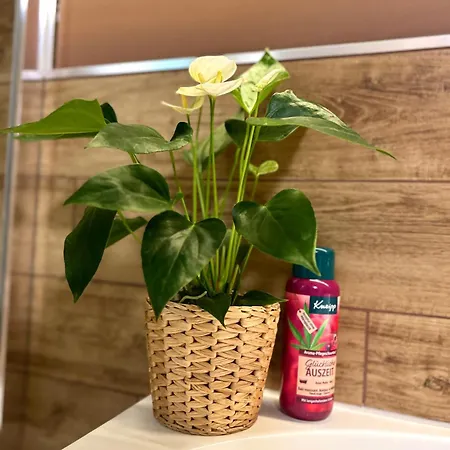 Traumferienwohnungen Georgenthal (Thuringia)