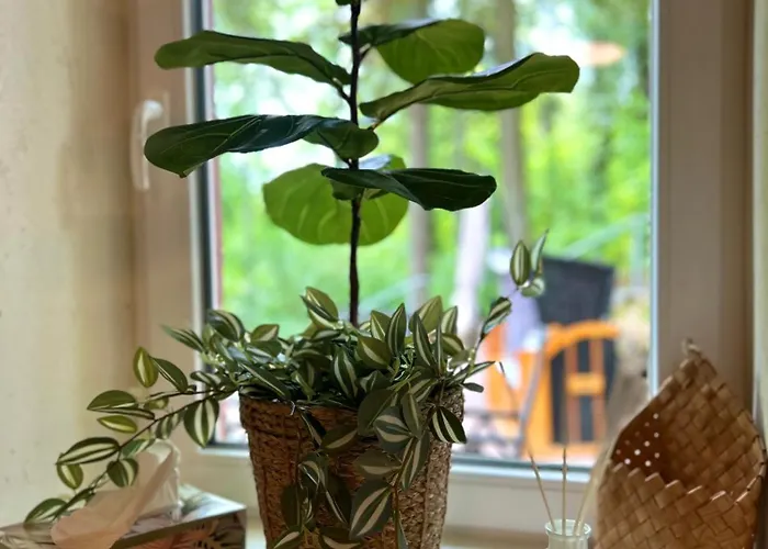 Traumferienwohnungen Apartament