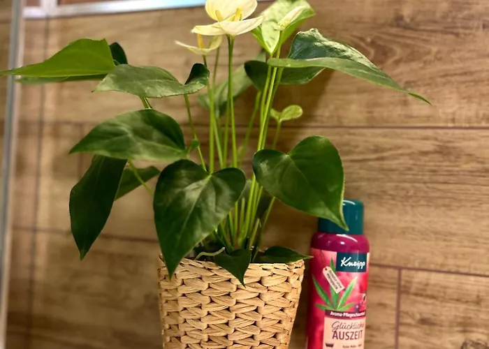 Traumferienwohnungen Georgenthal (Thuringia)