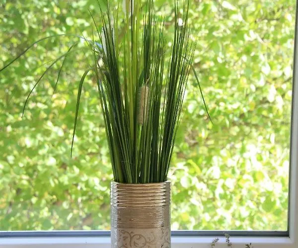 Apartament Traumferienwohnungen *